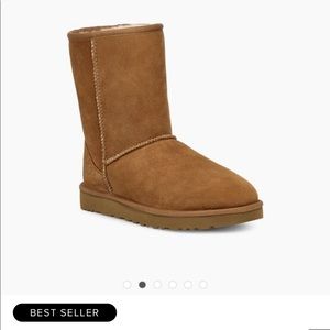Classic Short Ugg Australia